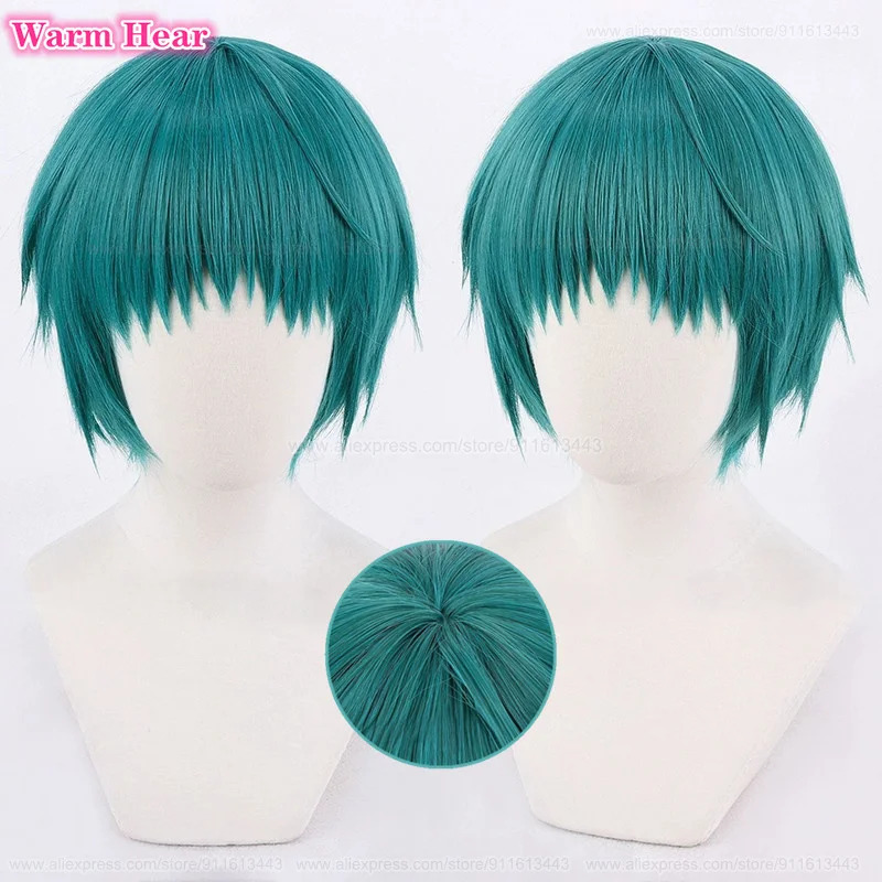 Game P3 Fuuka Yamagishi Synthe - Anime Cosplay Blue Hair review and price