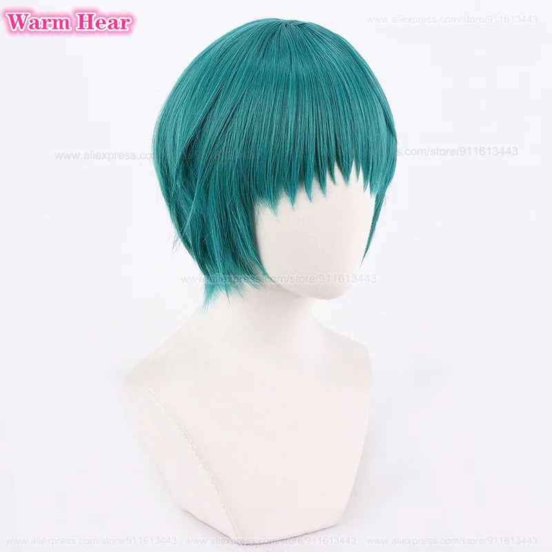 Game P3 Fuuka Yamagishi Synthe - Anime Cosplay Blue Hair review and price