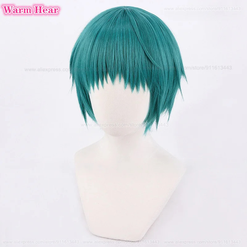 Game P3 Fuuka Yamagishi Synthe - Anime Cosplay Blue Hair review and price